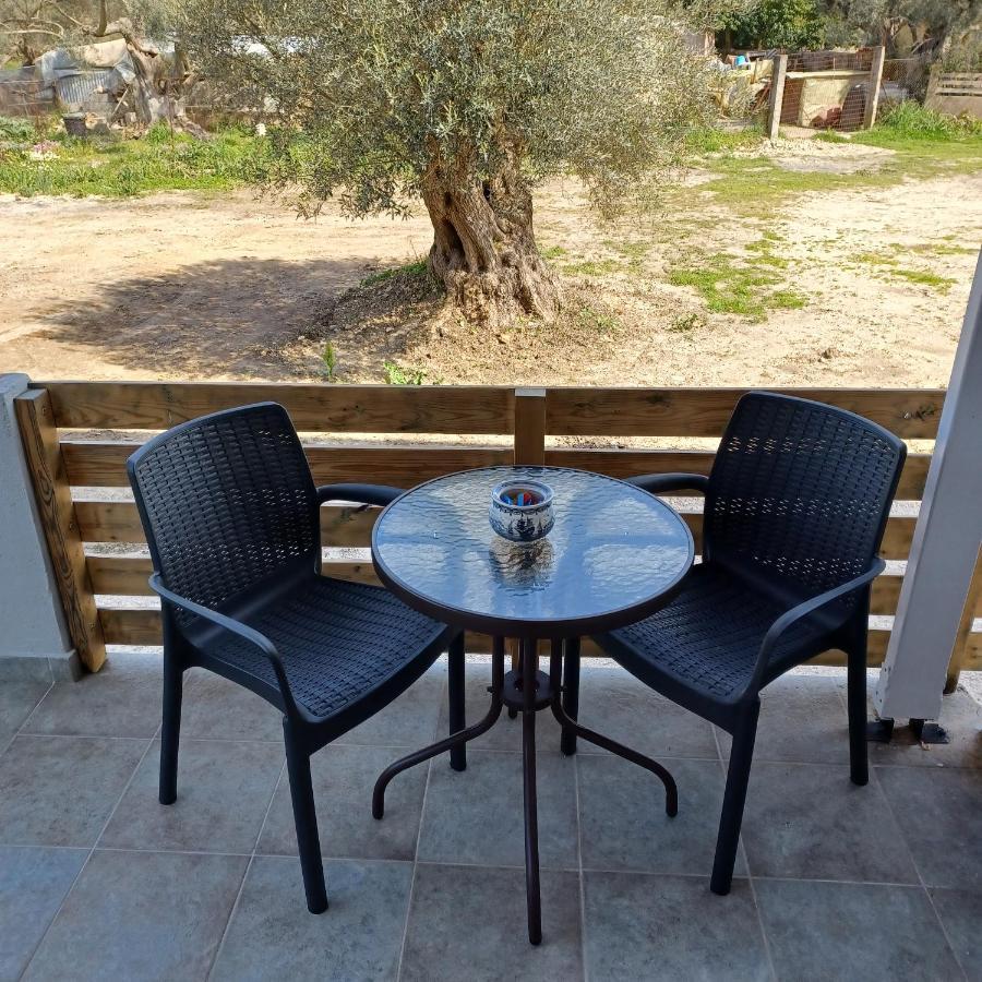 The Olive Tree fields Lygia - Τα χωράφια της ελιάς Λυγία Διαμέρισμα Εξωτερικό φωτογραφία